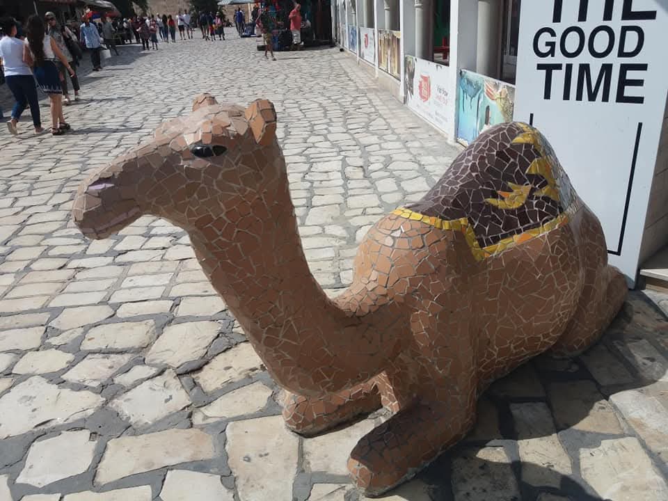 Tunis Sus Foto Ana Marić (4).jpg