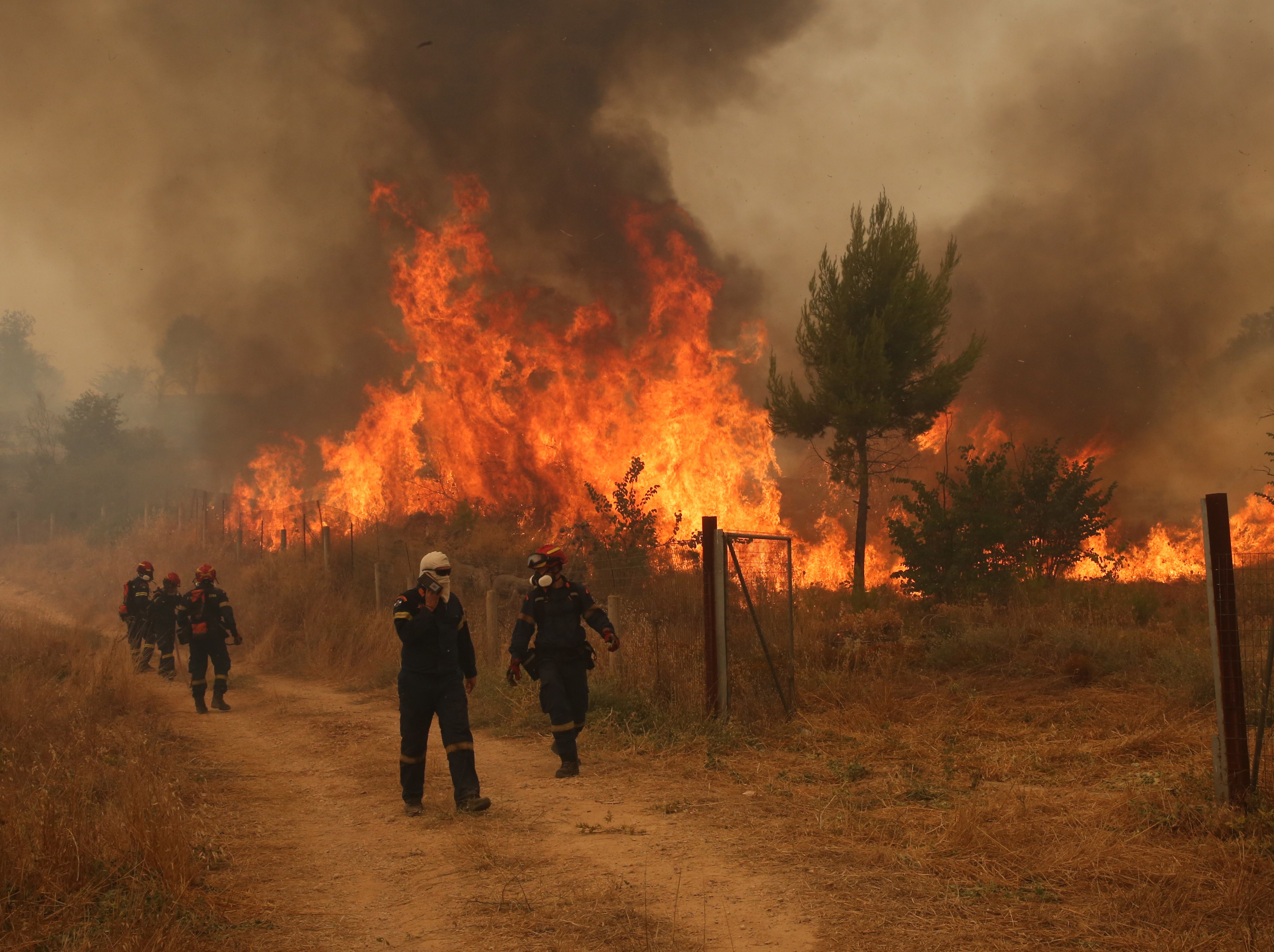 epa13146883 Firefighters battle a wildfire in the wider area of Megara, Attica, Greece,