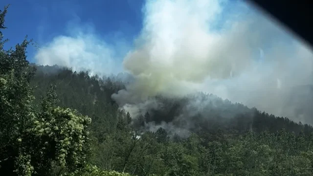 VIDEO Na desetine požara uz magistralu Novi Pazar–Kraljevo: Vatra guta rastinje kilometrima, dim otežava saobraćaj