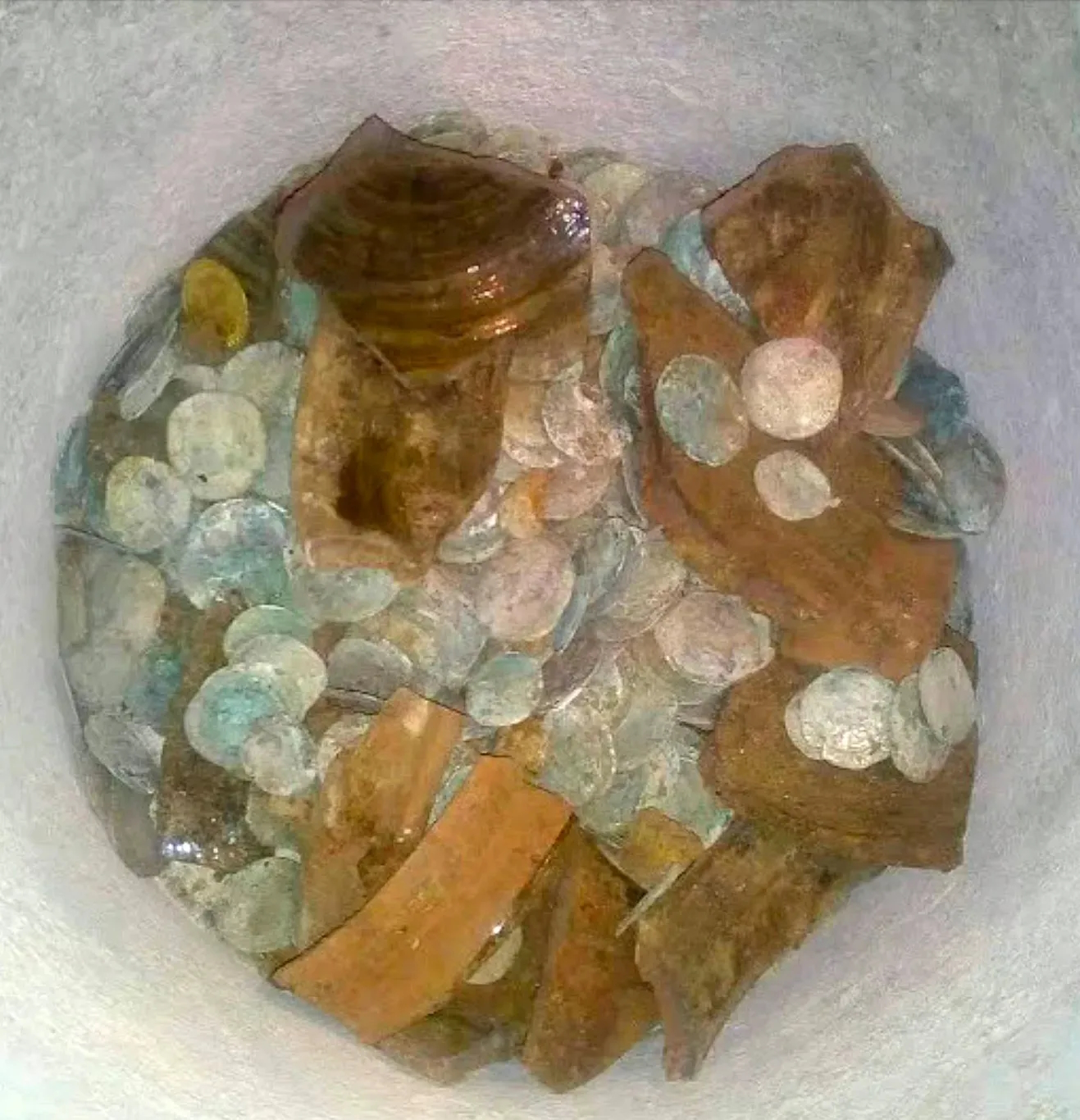 Šta su pronašli