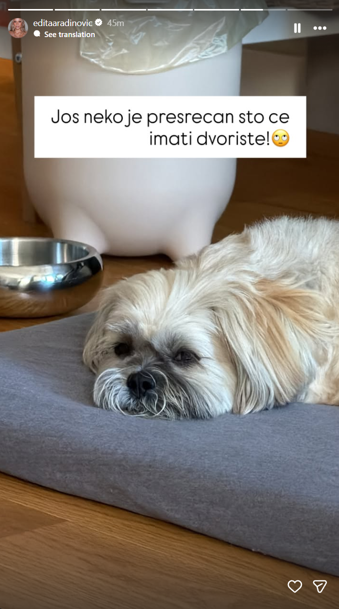 Foto: Printskrin Instagram editaaradinovic / Edita Aradinović