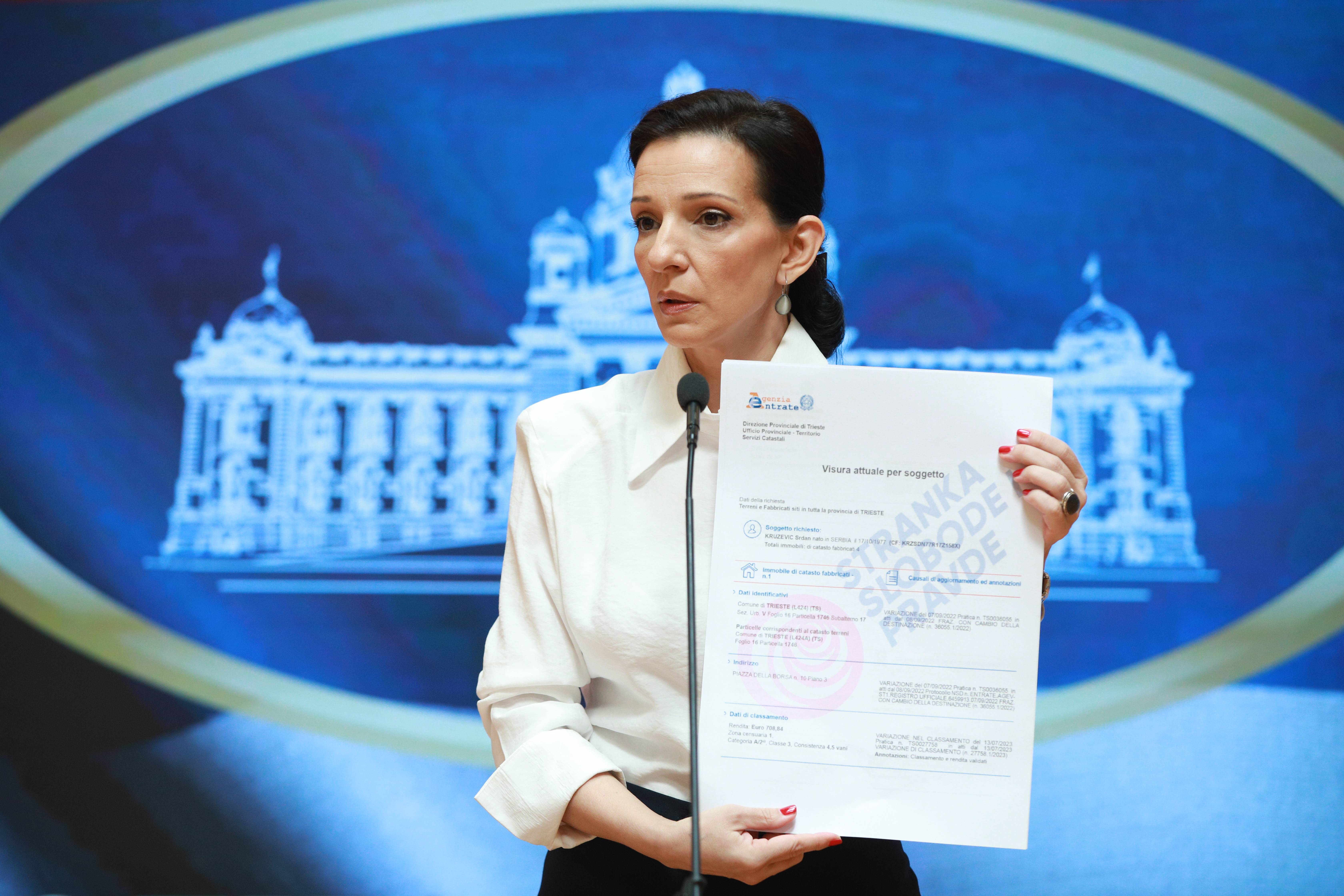 marinika tepić konferencija za štampu