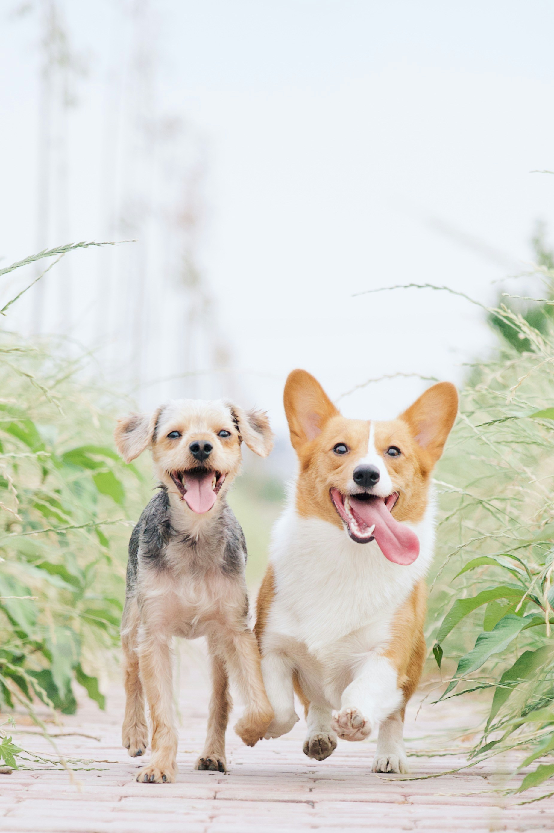 alvan-nee-1VgfQdCuX-4-unsplash
