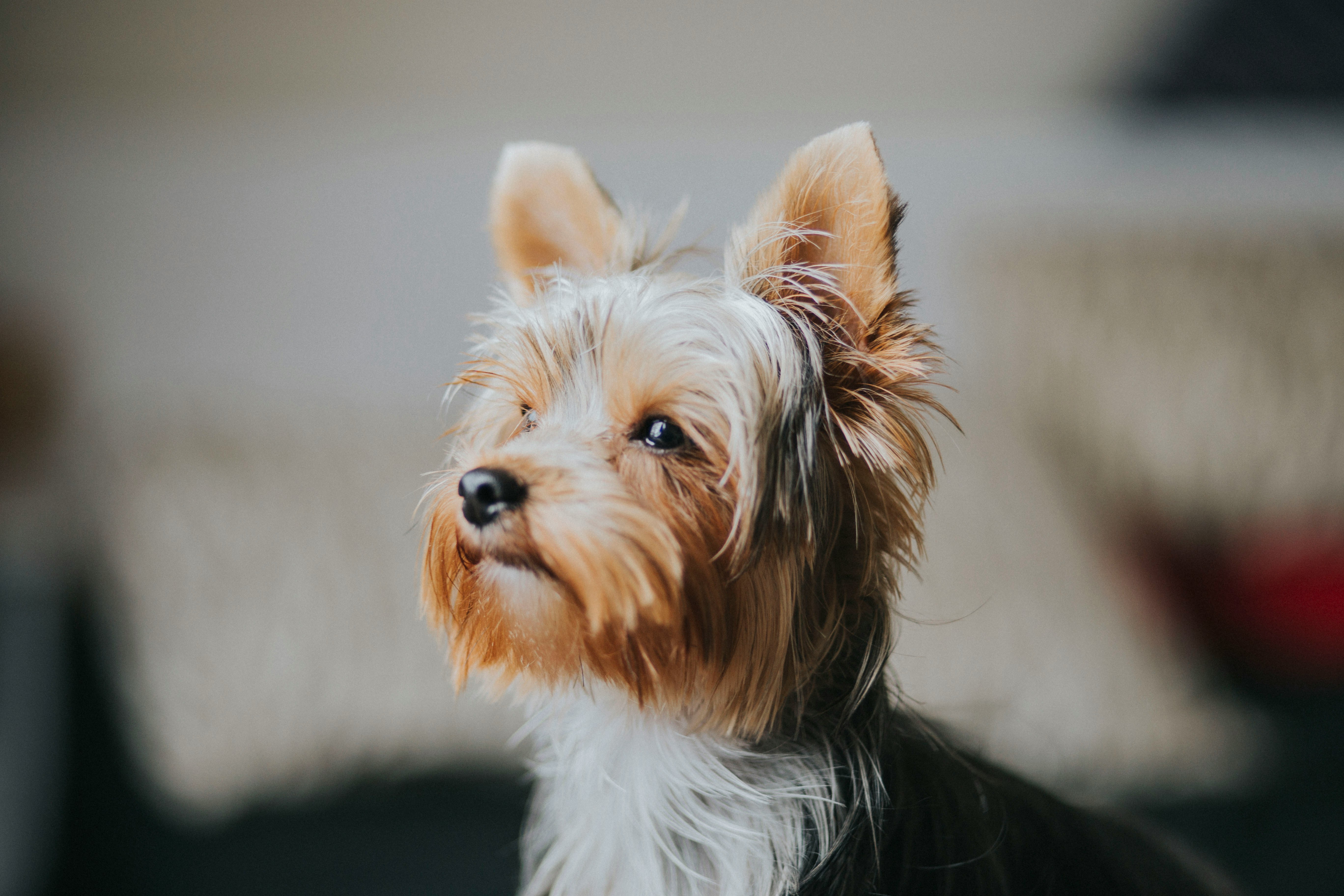 fernanda-nuso-Fk2DGAaZJGs-unsplash