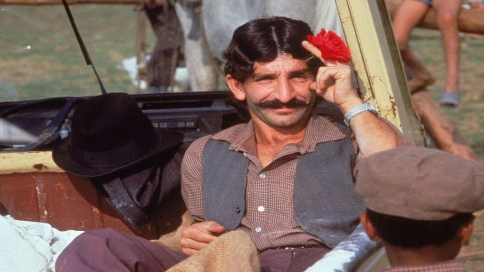 husnija hašimović foto imdb.png