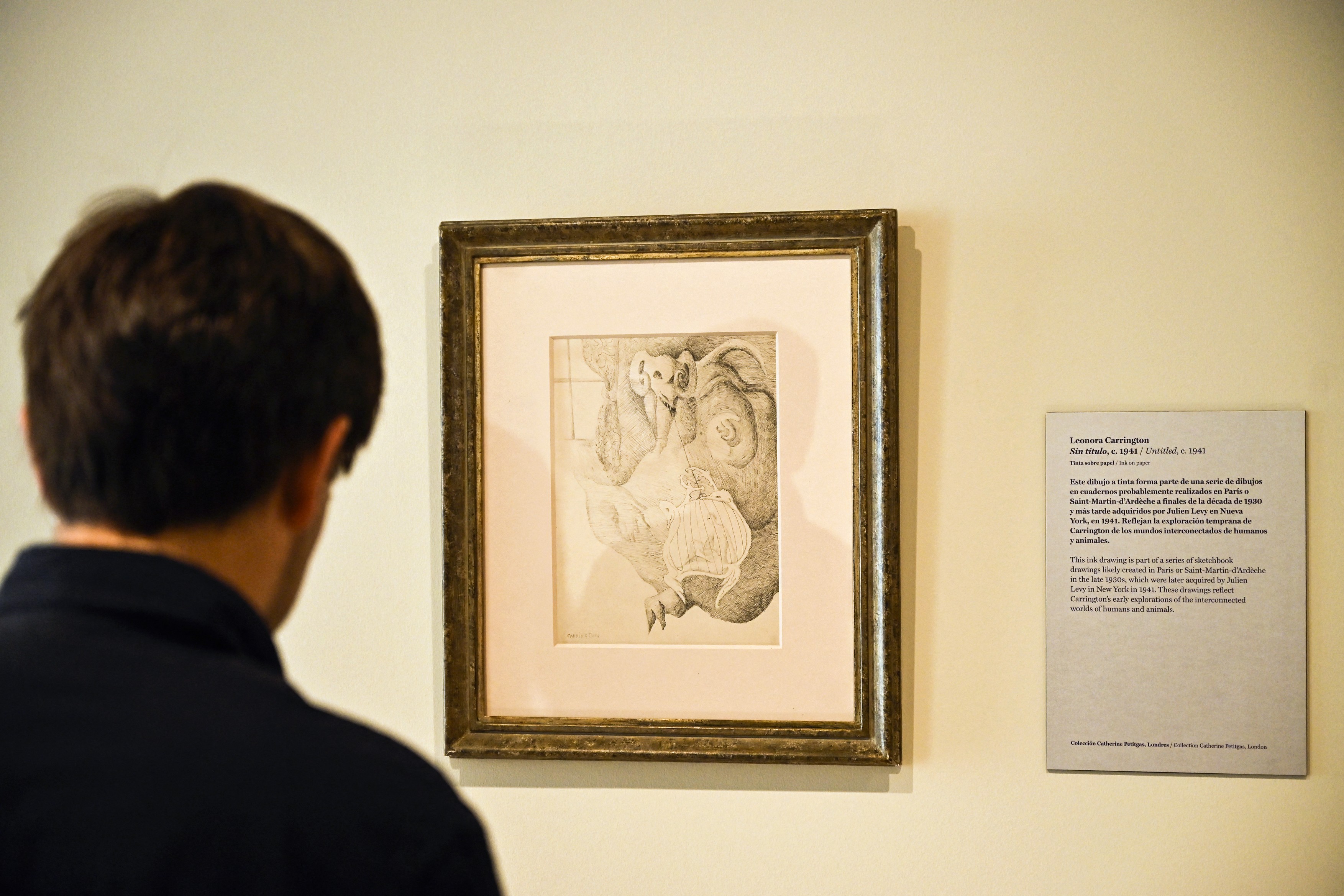 A visitor looks at an untitled artwork by B