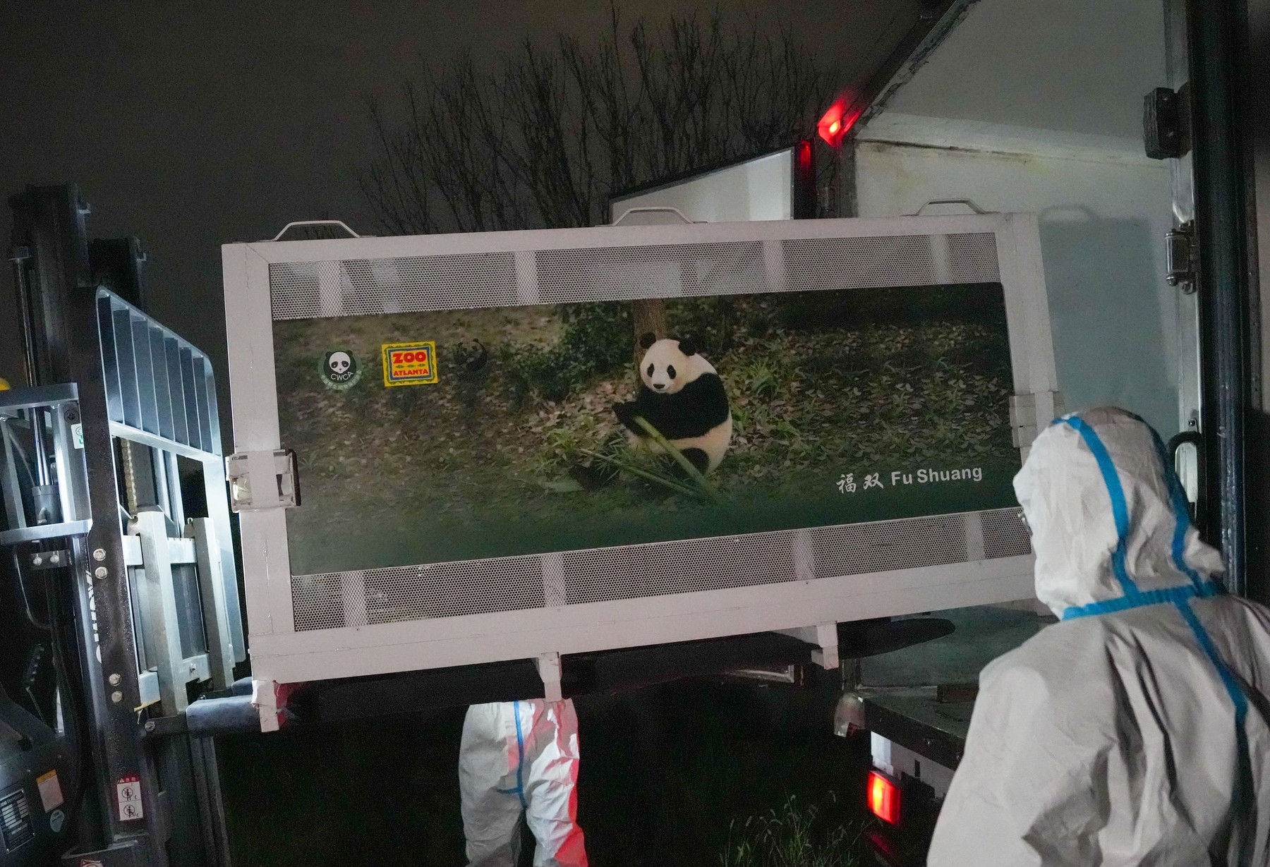 Panda pande Kina Amerika Atlanta profimedia-1138547179.jpg