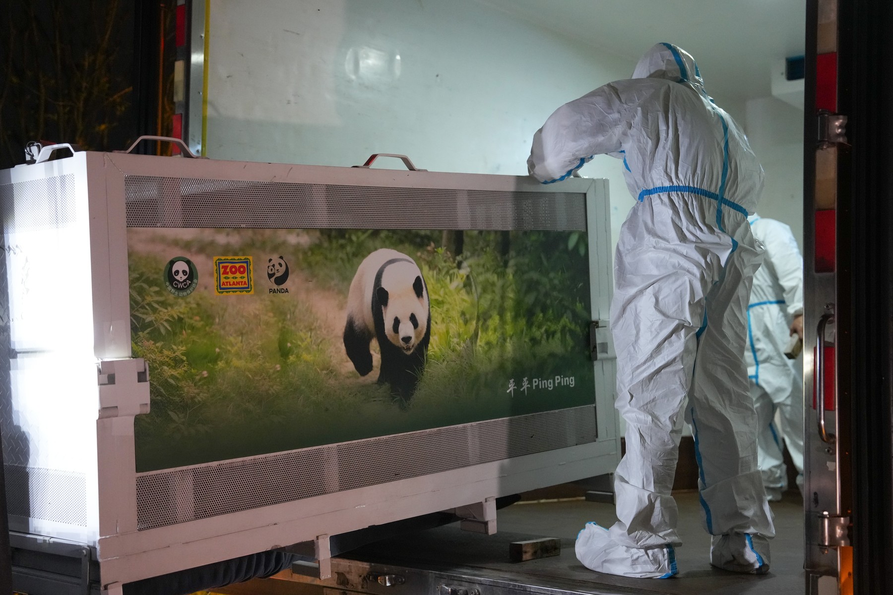 Panda pande Kina Amerika Atlanta profimedia-1138547169.jpg