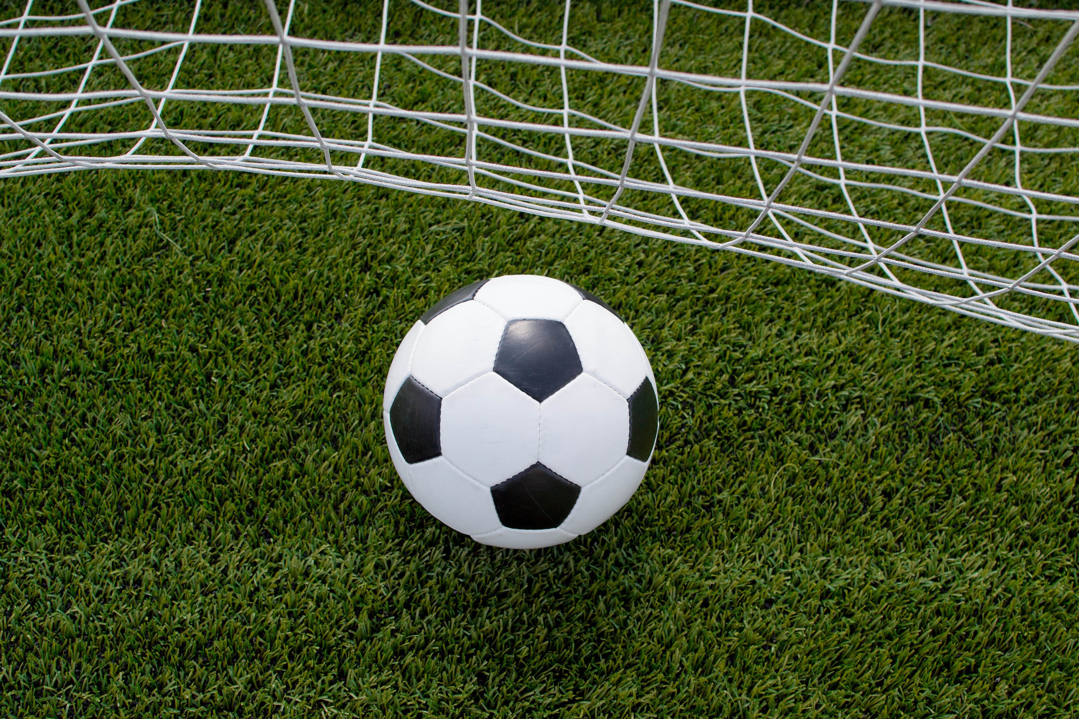 Soccer ball in the net on the lawn