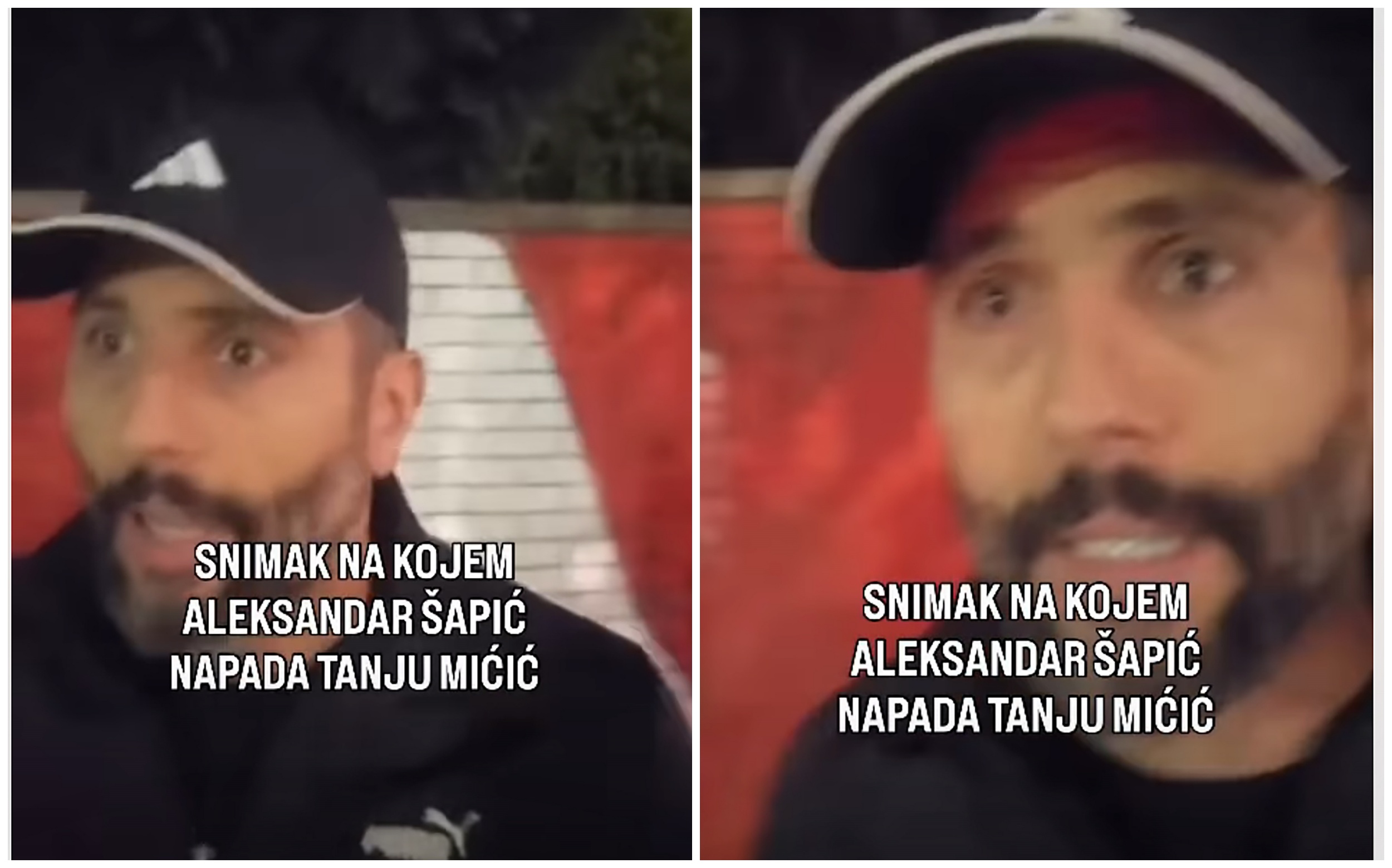 aleksandar šapić napad na odbornicu  tatjanu micic