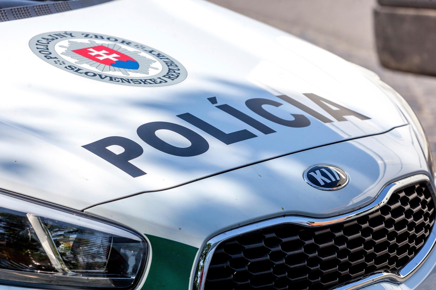 Slovačka policija
