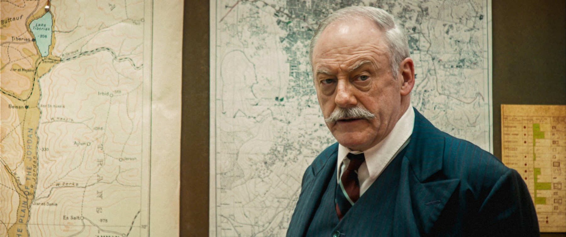 Liam Cunningham Palestine 36 profimedia-1088082621.jpg