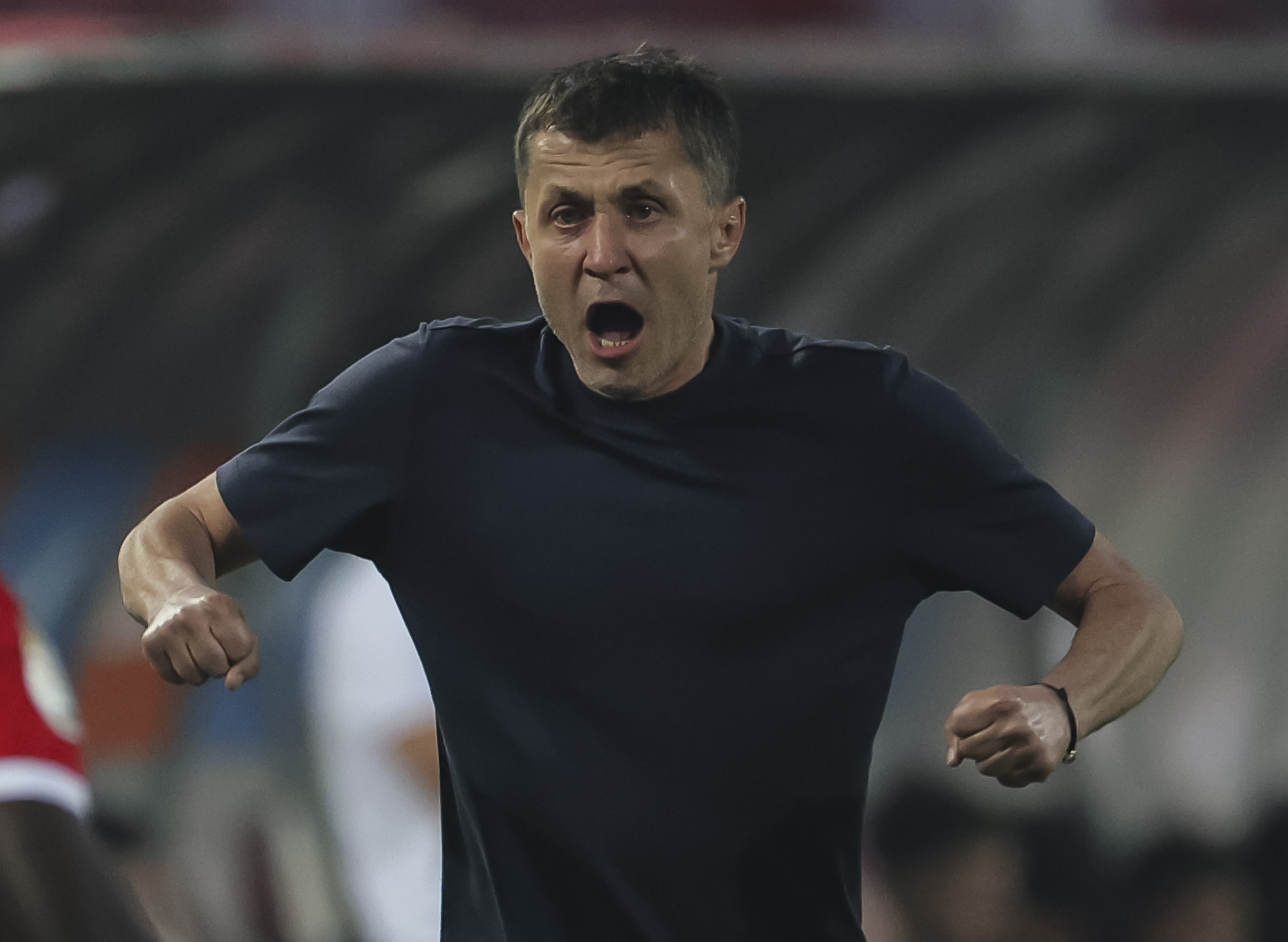 Saša Ilić