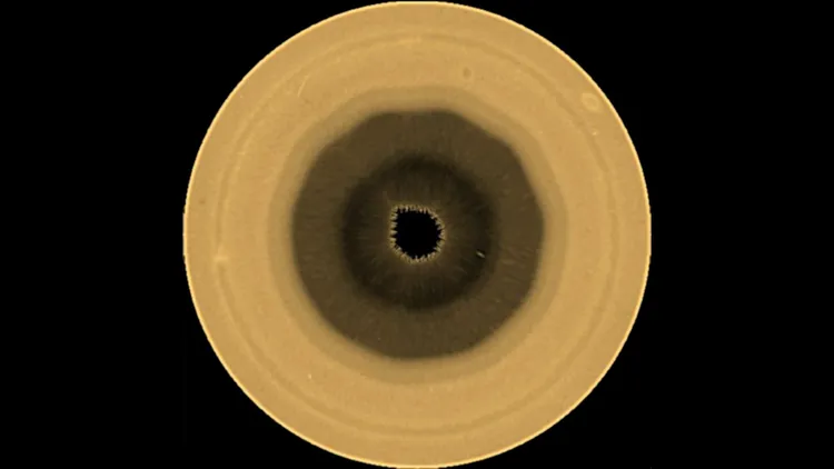 Saturn (NASA snimak)