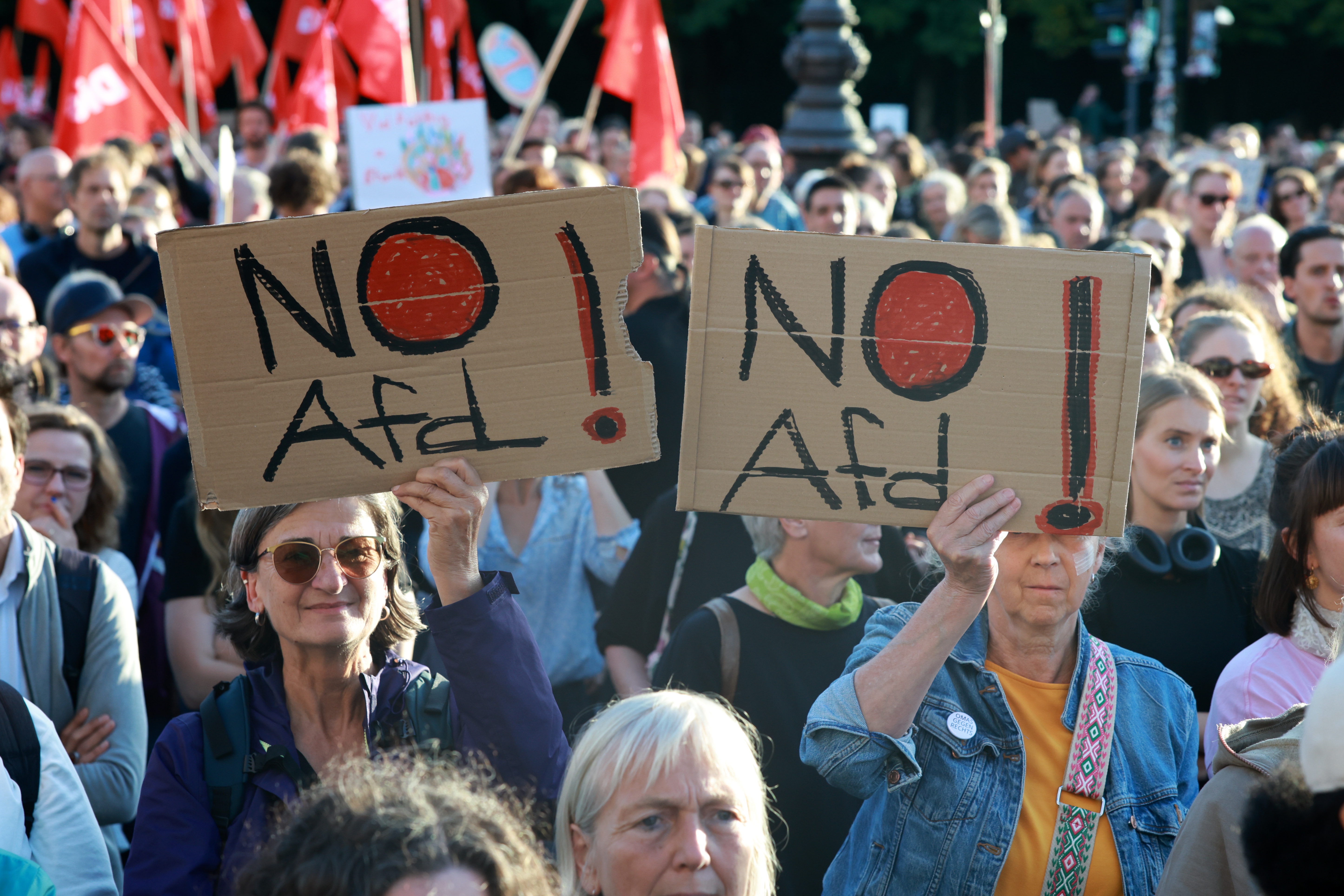 Protest u Berlinu protiv AfD 14271496.jpg