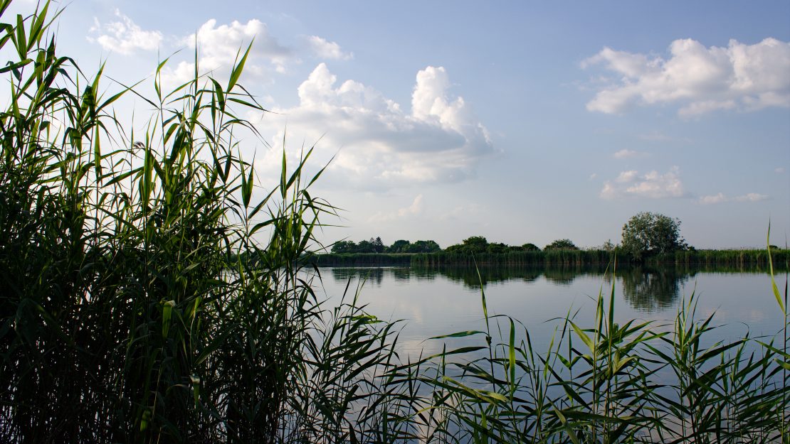 Žena Sletela Sa Puta U Omladinsko Jezero Na Paliću 6632