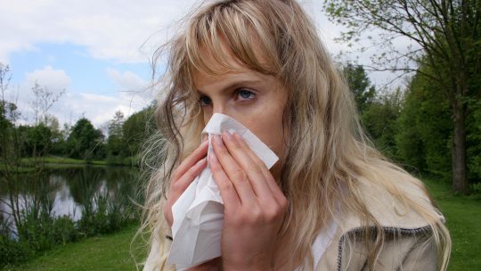 najveći alergeni u srbiji