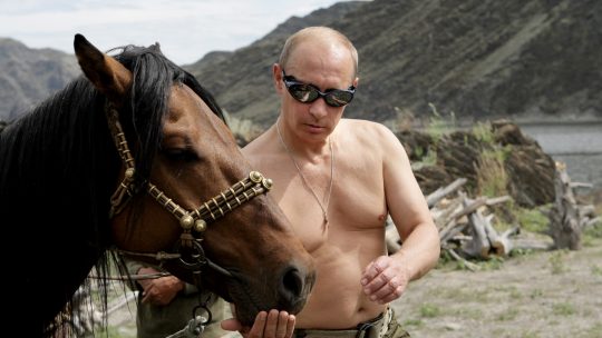 Putin, konj