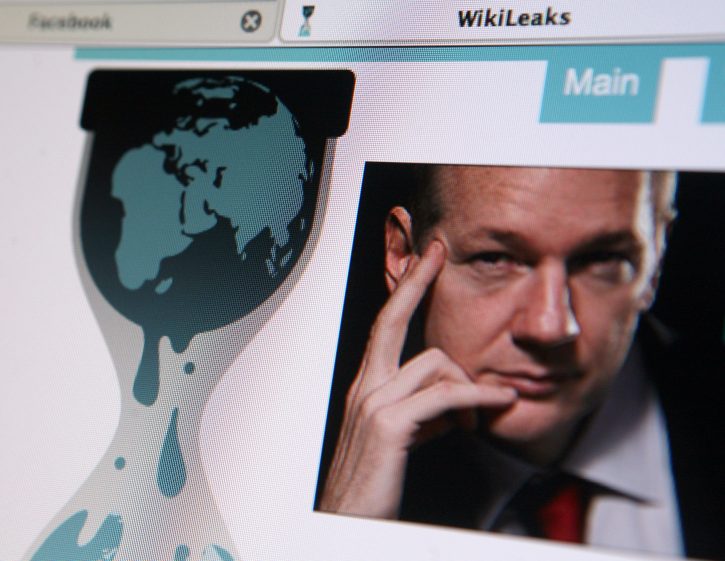WikiLeaks, Vikiliks