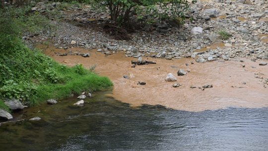 Ušće reke Bistrice u Vlasinu
