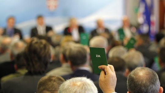 Delegat glasa na skupštni Fudbalskog saveza Srbije