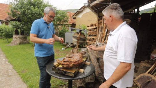 domaćinske priče