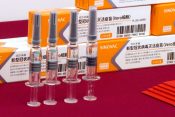 Kineska vakcina stiže početkom 2021. godine