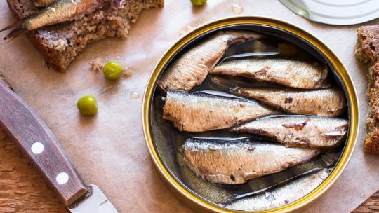 tunjevina i sardina