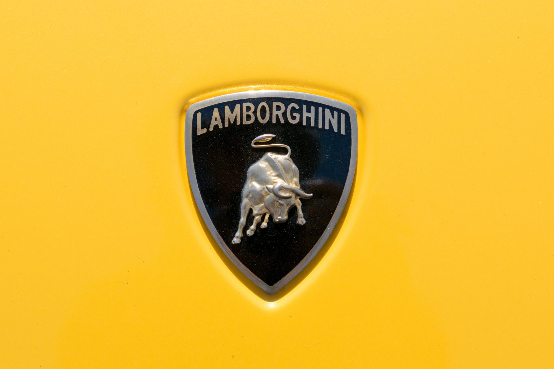 Логотип ламборгини 2024. Логотип Ламборджини. Торино Ламборгини. Эмблема Ламборджини желтая. Эмблема Ламборджини Гаярдо.