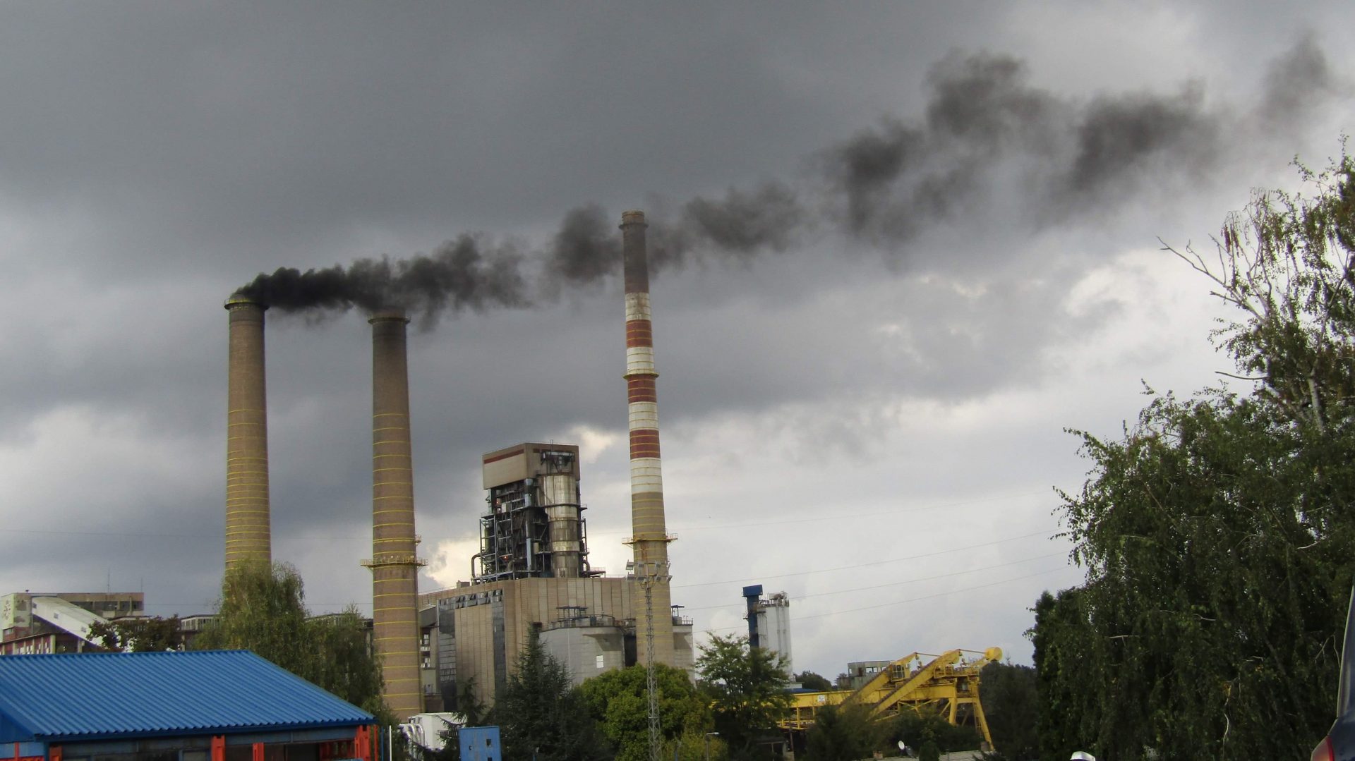 veliki crljeni Archives NOVA portal