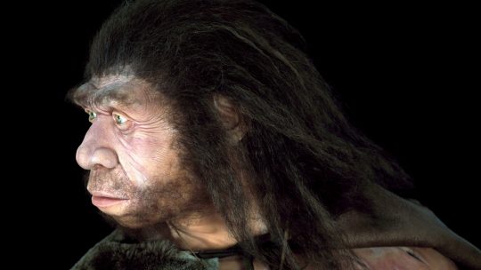 neandertalac
