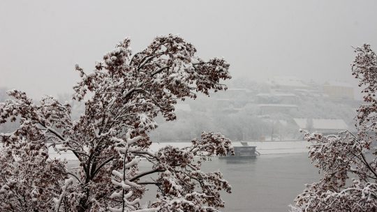 Novi Sad; zima; sneg