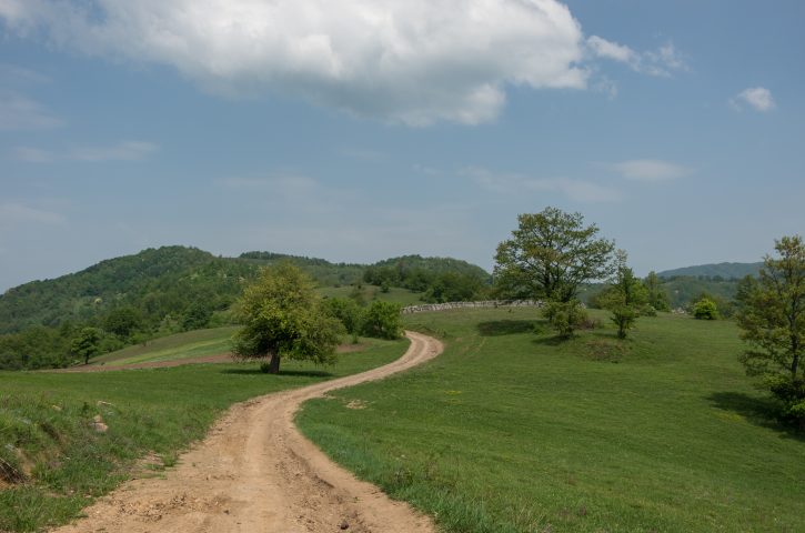 planina radan