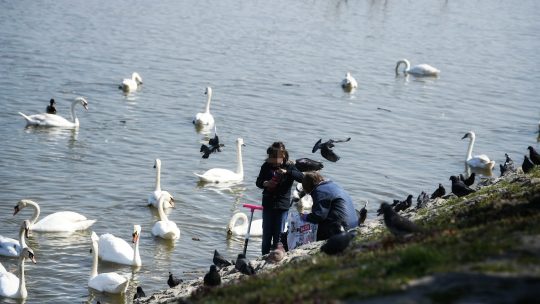 vremenska prognoza