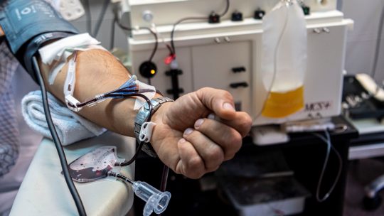 transfuzija; doniranje plazme