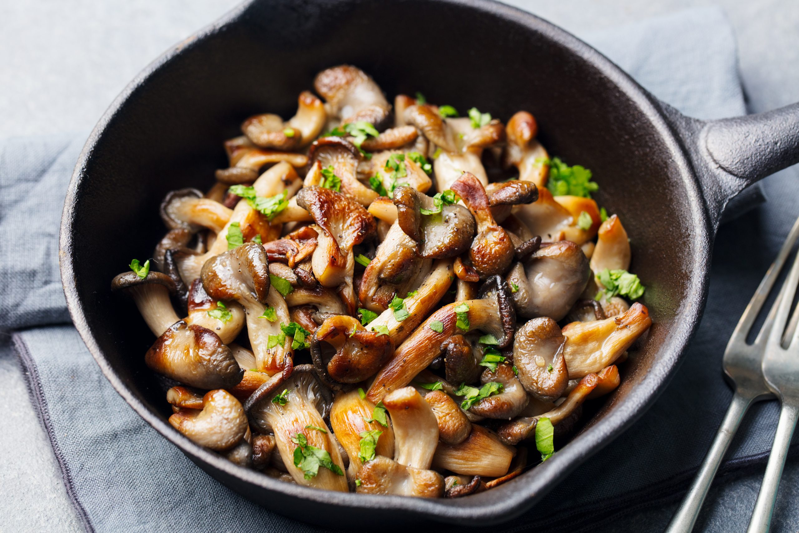 Картофель с вешенками. Жареные грибы. Грибы с чесноком жареные. Черные жареные грибы. Жареная индейка с грибами.