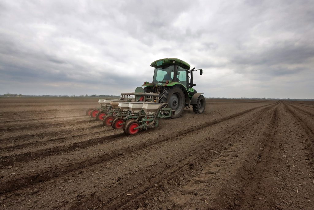 Kukuruz setva traktor agrar poljoprivreda