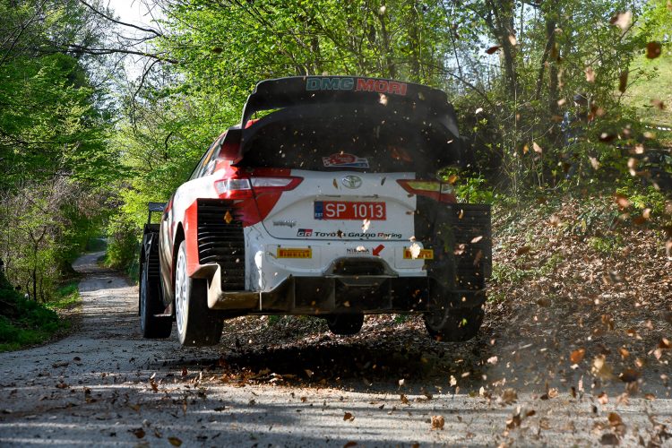 reli, hrvatska, WRC