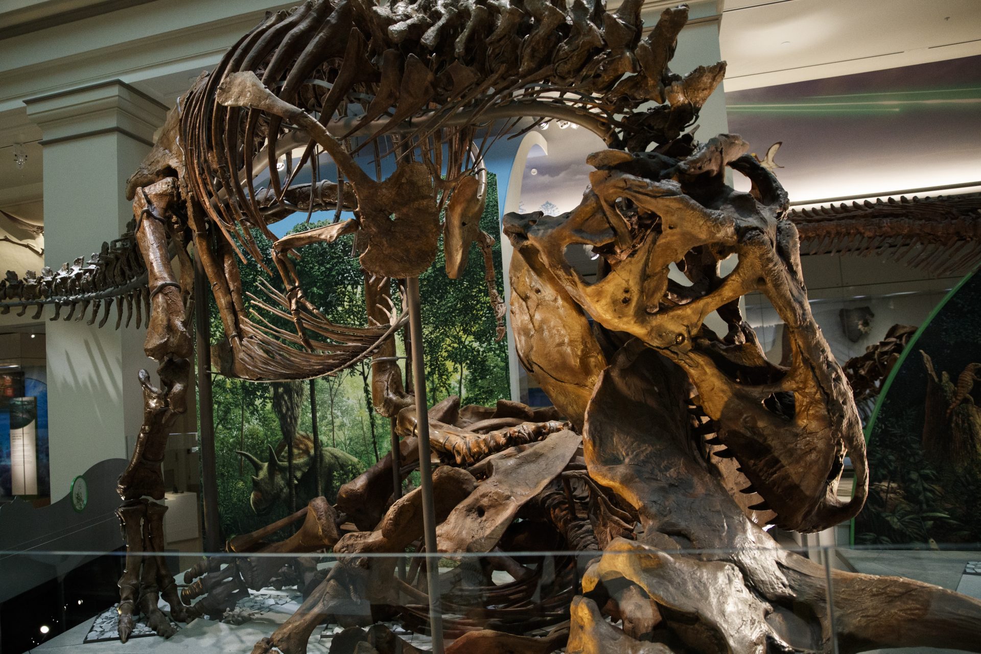 Tiranosaurus Reks