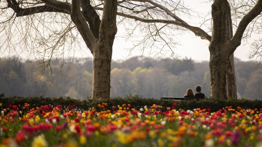 vremenska prognoza; proleće; cveće; park; par