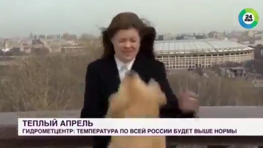 Rusija, novinarka, pas, mikrofon, uključenje