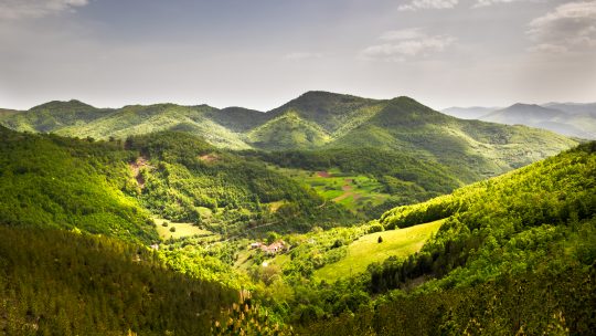 Srbija planina