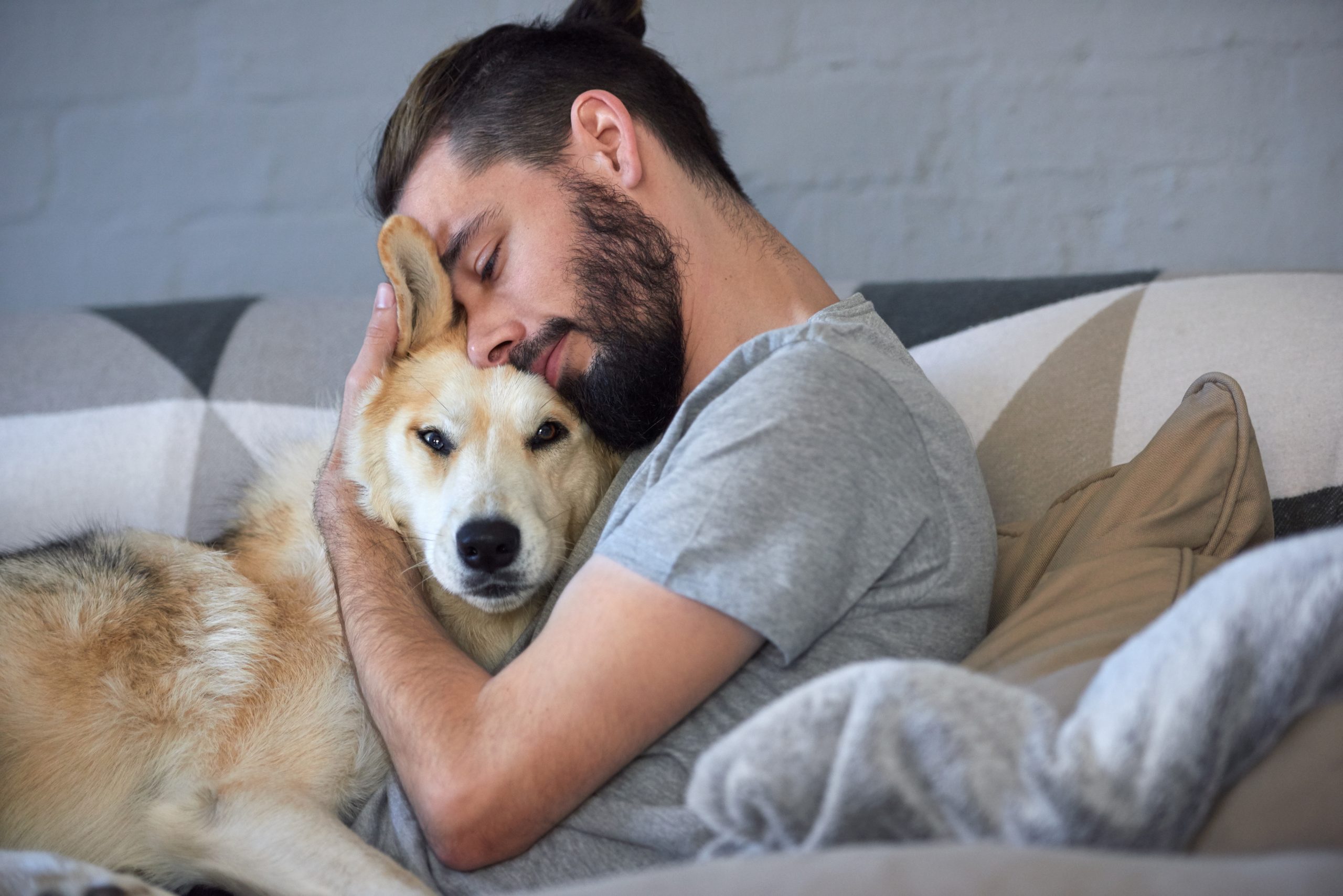 Dog are the best. Домашние животные и человек. Хозяин собаки. Мужчина с собакой. Мужчина обнимает собаку.