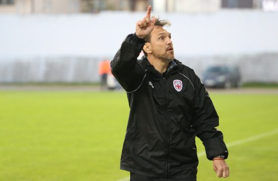Predrag Rogan, Trener FK Voždovac