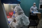 Kubanske vakcine