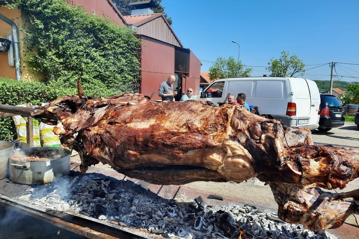 Vakcinacija I Dobrovoljno Davanje Krvi U Kafani Tu Je I Vo