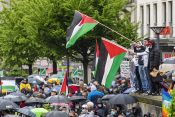Protesti podrske Palestini