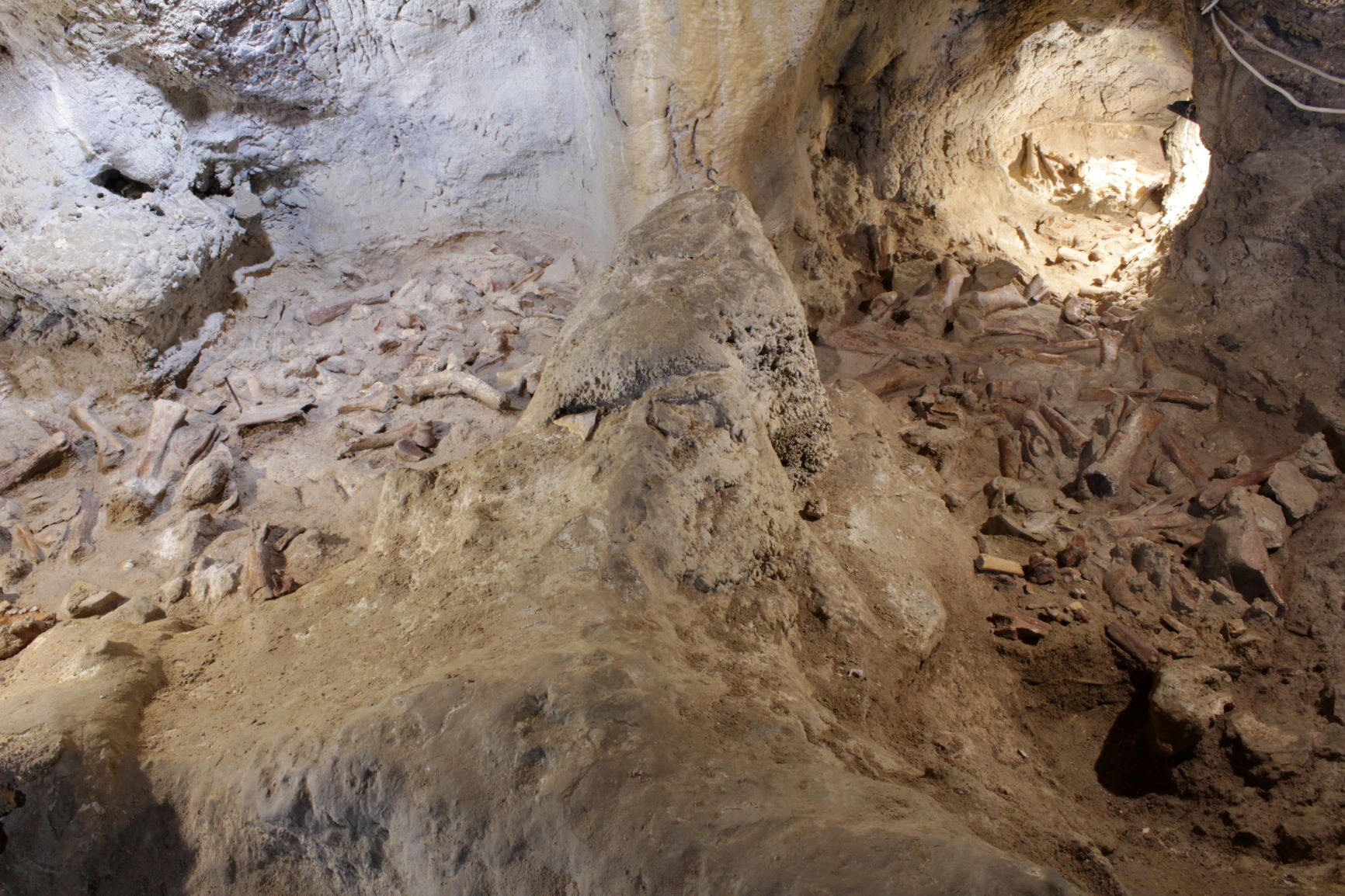 Fosili neandertalac