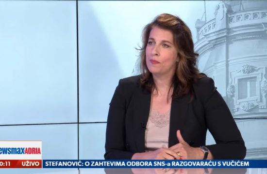 Ljubica Gojgić, gost, emisija Pregled dana