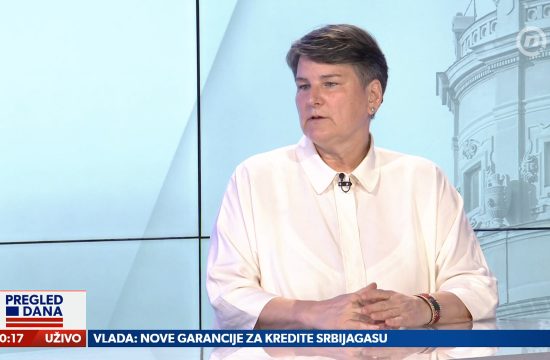 Ivanka Popović, gost, emisija Pregled dana